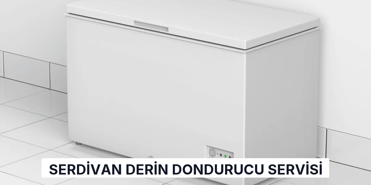 Serdivan Derin Dondurucu Servisi