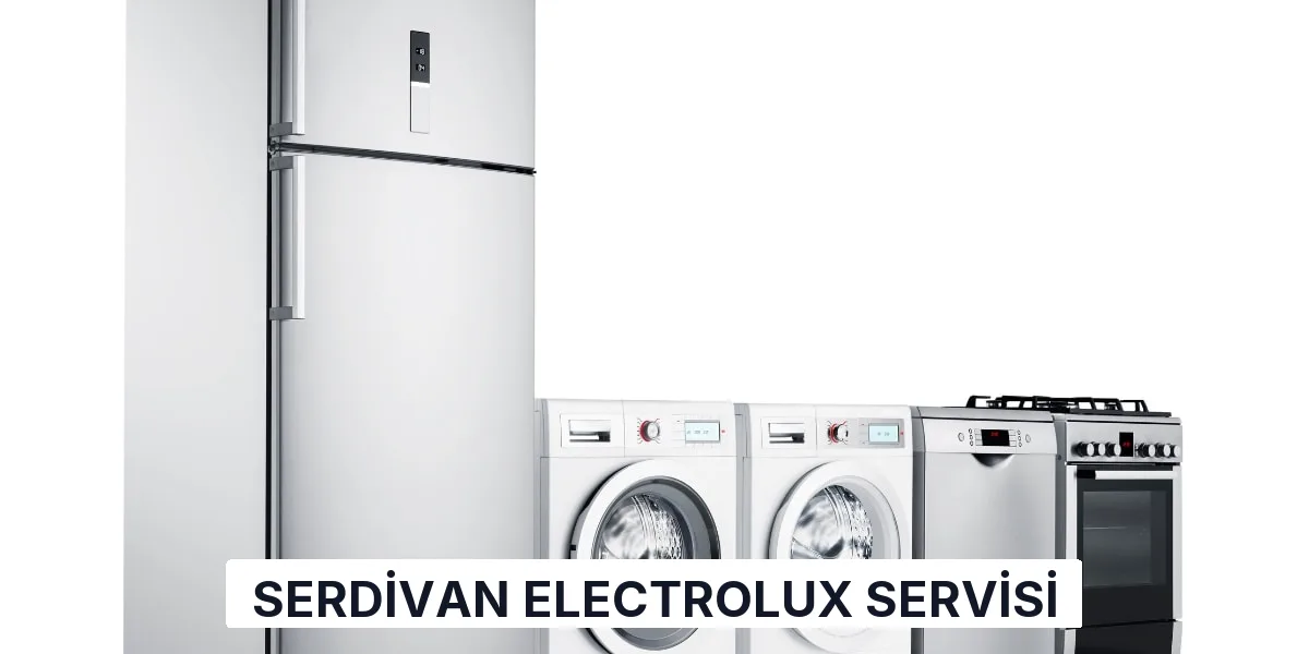 Serdivan Electrolux Servisi