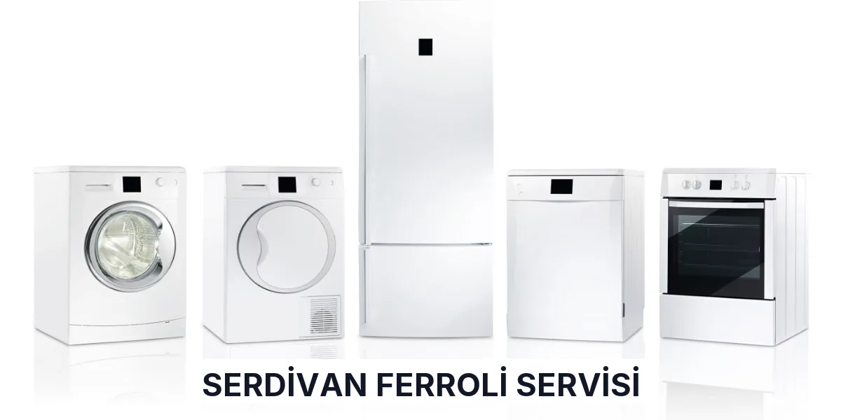 Serdivan Ferroli Servisi