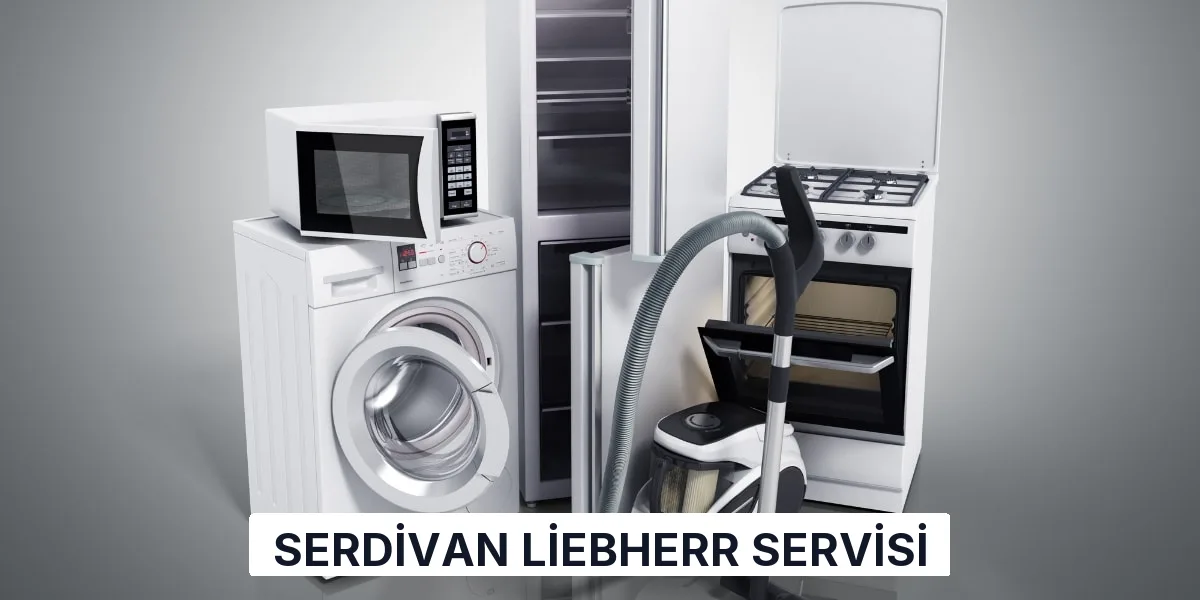 Serdivan Liebherr Servisi