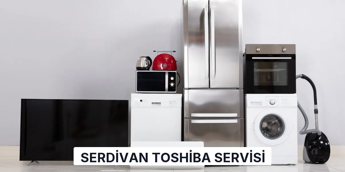 Serdivan Toshiba Servisi
